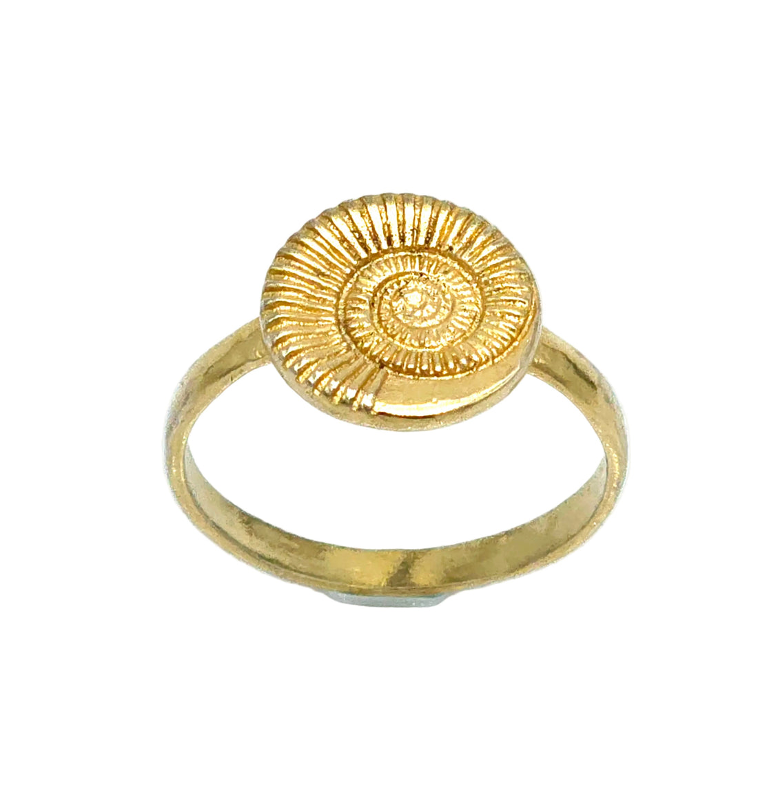 טבעת שבלול ציפוי זהב