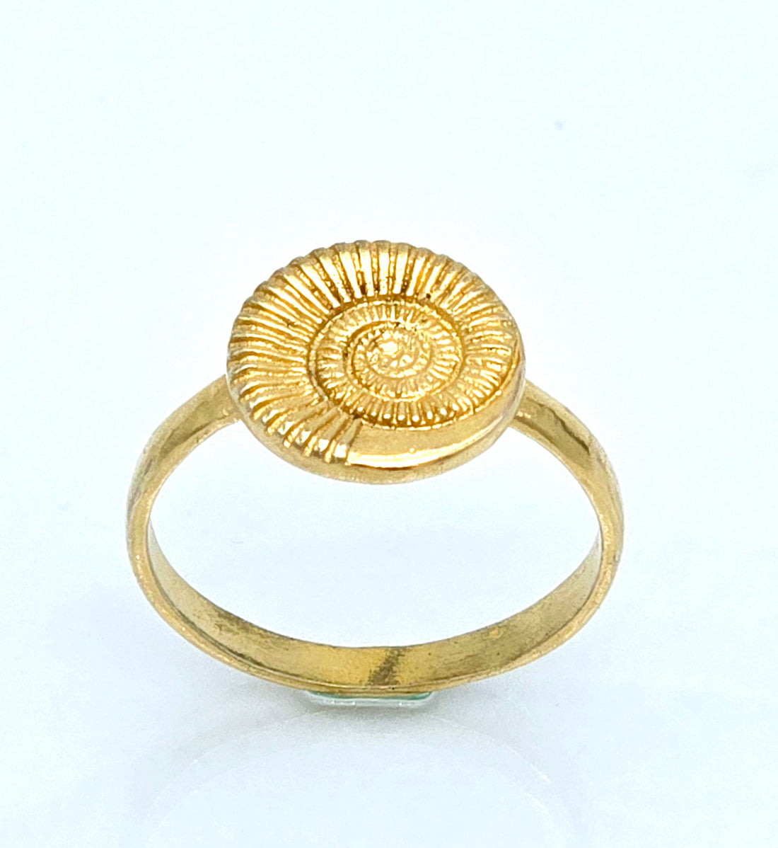 טבעת שבלול ציפוי זהב