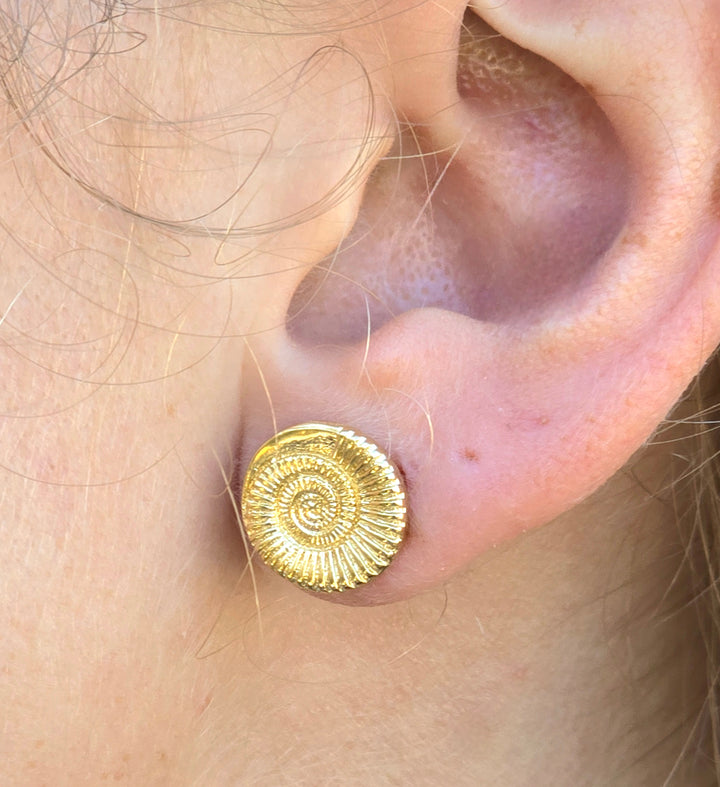 עגילים צמודים שבלול אמונייט מזהב 14 קראט