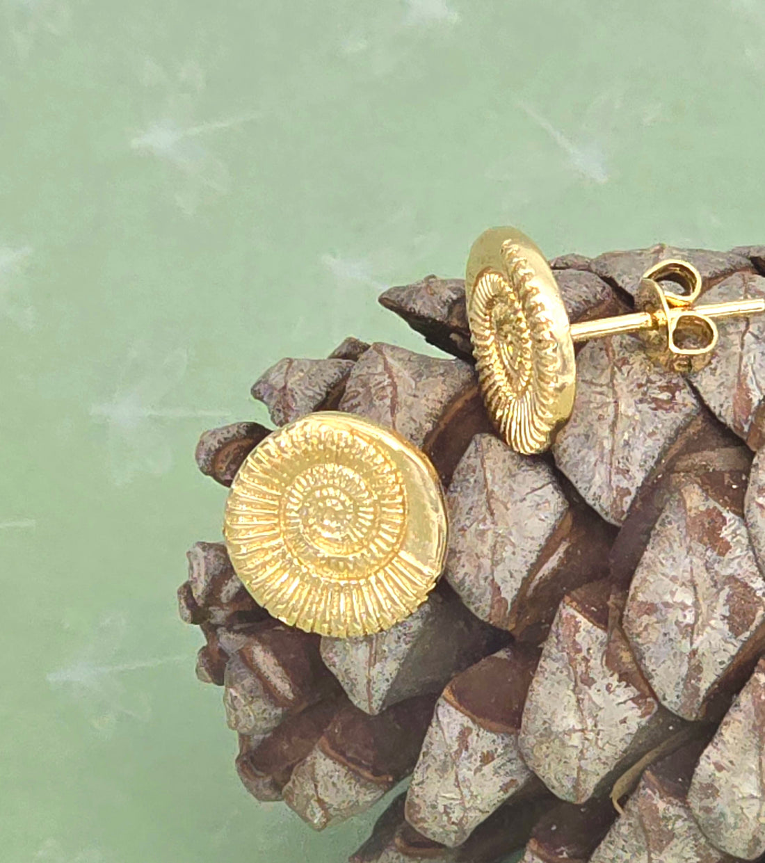 עגילים צמודים שבלול אמונייט מזהב 14 קראט