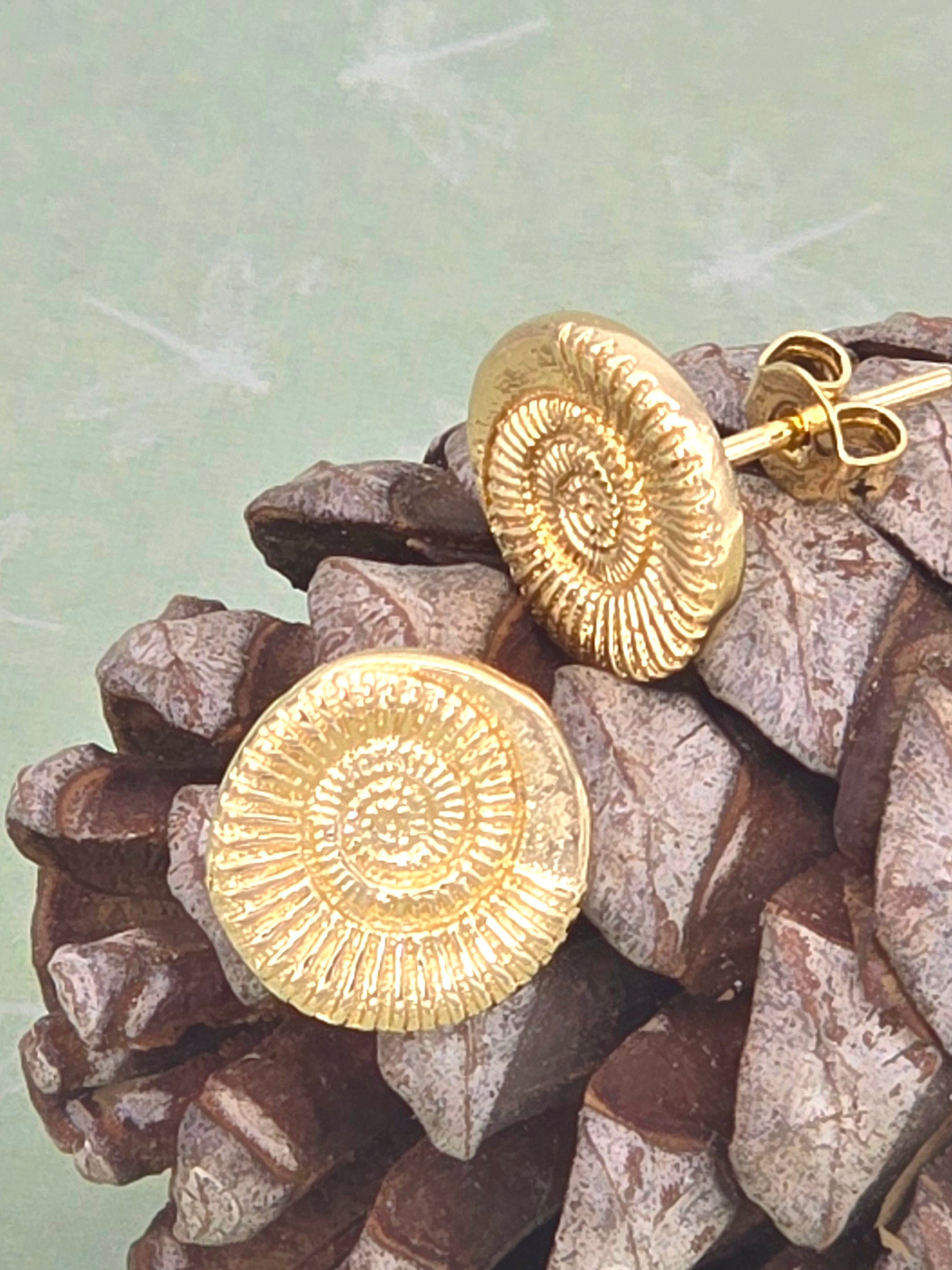 עגילים צמודים שבלול אמונייט מזהב 14 קראט