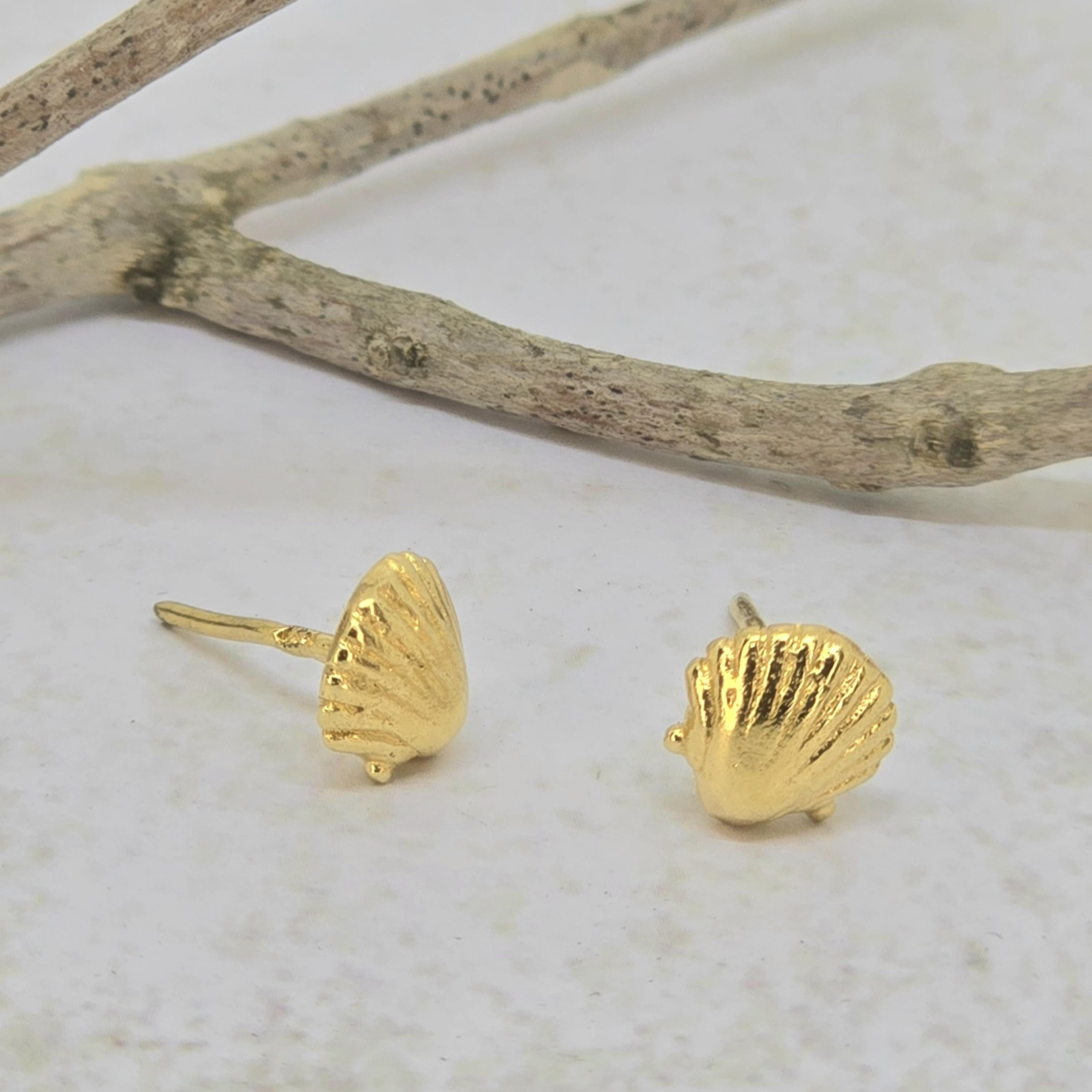 עגילי צדף זהב 14 קראט, עגילי צדף זהב מלא