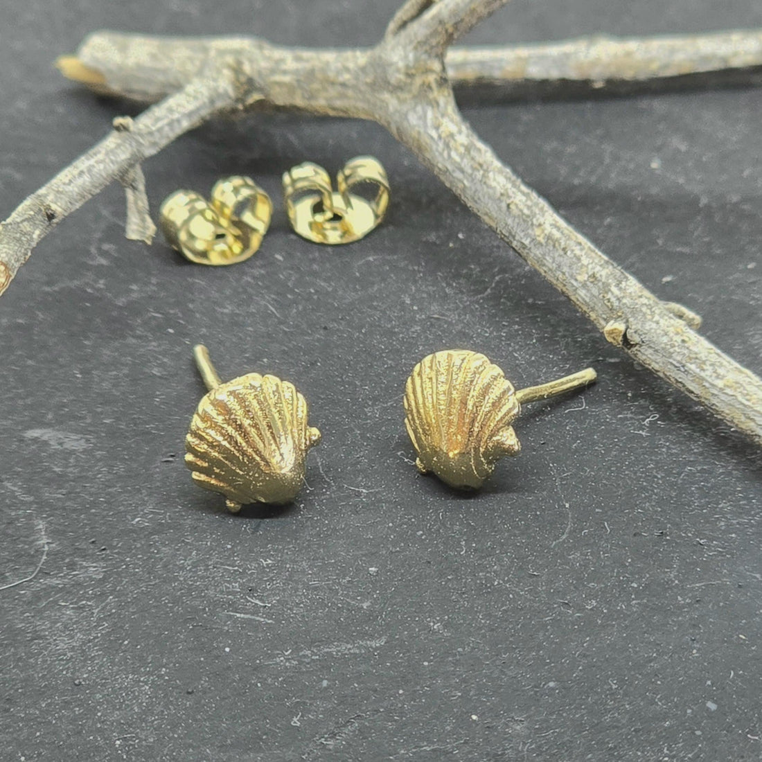 עגילי צדף זהב 14 קראט, עגילי צדף זהב מלא