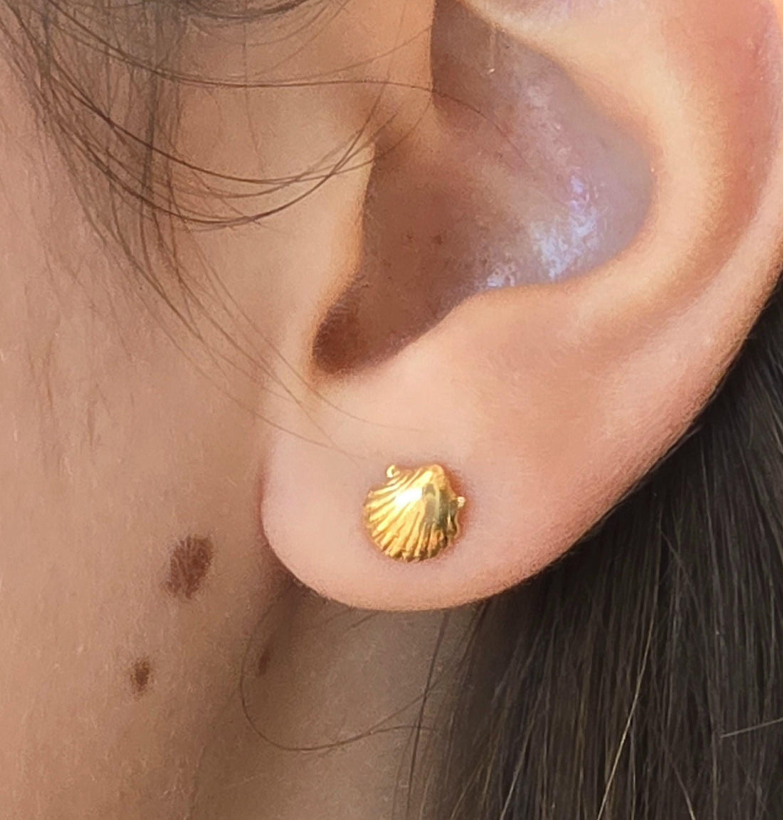 עגילי צדף זהב 14 קראט, עגילי צדף זהב מלא