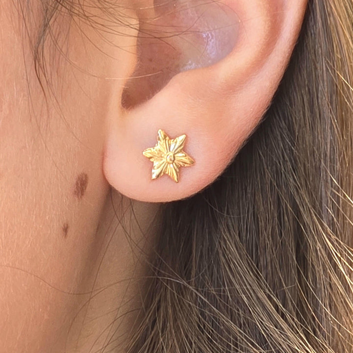 עגילי פרח כוכבים זהב 14 קראט, זהב מלא עגילי פוסט