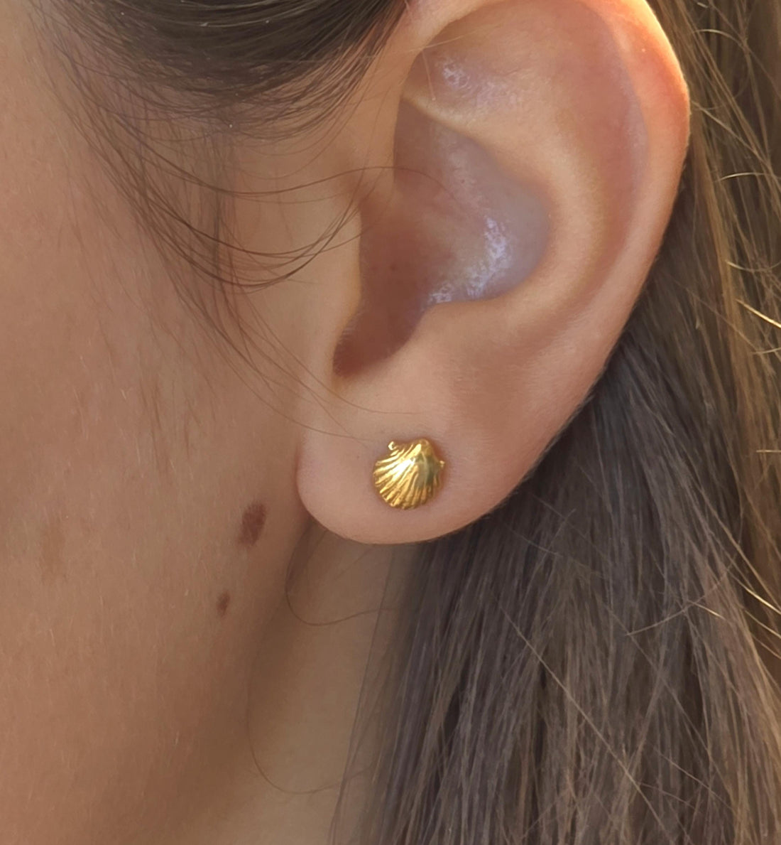 עגילי צדף זהב 14 קראט, עגילי צדף זהב מלא